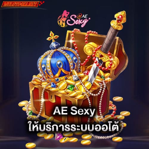 aesexy-ให้บริการระบบออโต้-aesexy